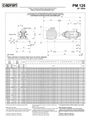 Горизонтальные многоступенчатые насосы высокого давления Caprari PM 125 2000