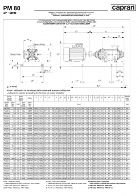 Горизонтальные многоступенчатые насосы высокого давления Caprari PM 80 2000