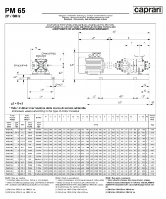 Горизонтальные многоступенчатые насосы высокого давления Caprari PM 65 3500