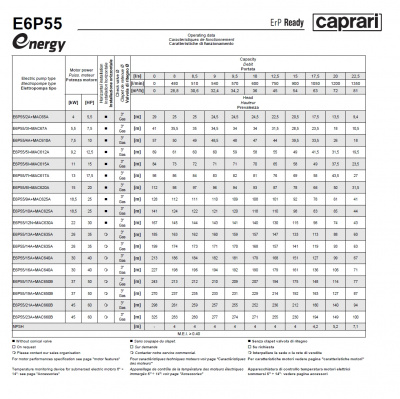 Скважинные насосы Caprari E6P55 из чугуна