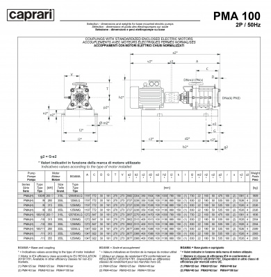 Горизонтальные многоступенчатые насосы высокого давления Caprari PMA 100 2900