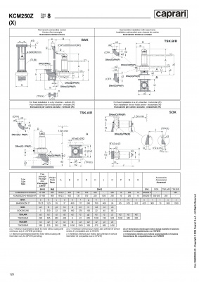 Погружные канализационные элктронасосы Caprari KCM250Z(X)