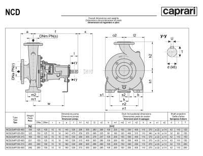 Одноступенчатые горизонтальные центробежные насосы Caprari NCDS 4P125-315 1750