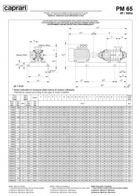 Горизонтальные многоступенчатые насосы высокого давления Caprari PM 65 2000