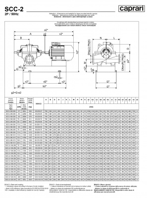 Горизонтальные насосы двустороннего входа Caprari SCC-2-80-250 2900