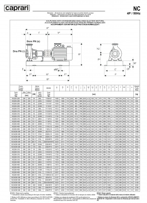 Одноступенчатые горизонтальные центробежные насосы Caprari NC 200-250 1450