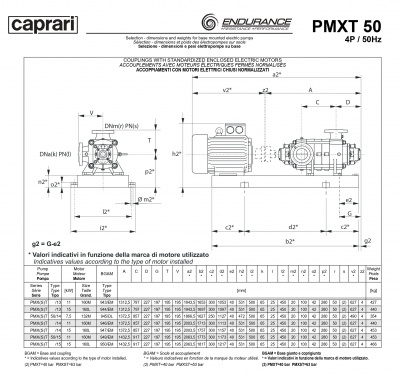 Горизонтальные секционные насосы высокого давления Caprari PMXT 50 2900 из нержавеющей стали