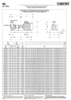 Одноступенчатые горизонтальные центробежные насосы Caprari NC 65-200 1450