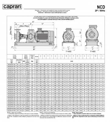 Одноступенчатые горизонтальные центробежные насосы Caprari NCD 2P32L-200 2900