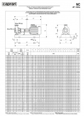 Одноступенчатые горизонтальные центробежные насосы Caprari NC 40-125 2900