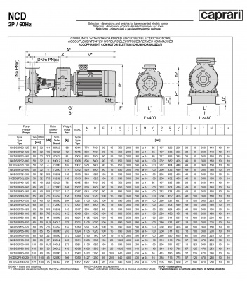 Одноступенчатые горизонтальные центробежные насосы Caprari NCDS 2P100-200 3450