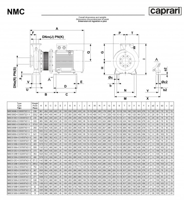 Поверхностные одноступенчатые консольно-моноблочные насосы Caprari NMC 100 4P