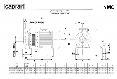 Поверхностные одноступенчатые консольно-моноблочные насосы Caprari NMC 80 2P