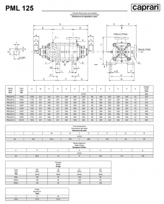 Горизонтальные многоступенчатые насосы высокого давления Caprari PML 125 1750