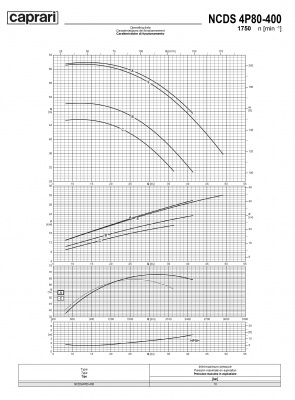 Одноступенчатые горизонтальные центробежные насосы Caprari NCDS 4P80-400 1750