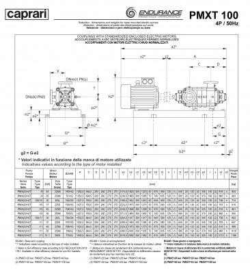 Горизонтальные секционные насосы высокого давления Caprari PMXT 100 3500 из нержавеющей стали