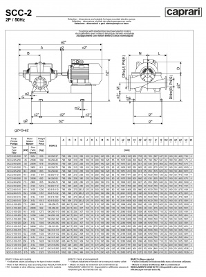 Горизонтальные насосы двустороннего входа Caprari SCC-2-125-315 1450