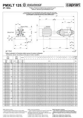 Горизонтальные секционные насосы высокого давления Caprari PMXLT 125 2000 из нержавеющей стали