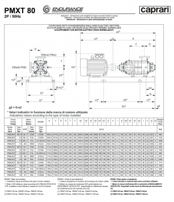 Горизонтальные секционные насосы высокого давления Caprari PMXT 80 2200 из нержавеющей стали