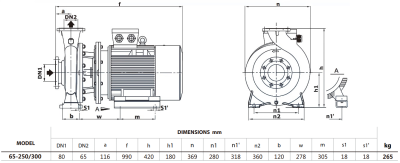 Центробежный насос Purity PSTG-R5 65-250/300