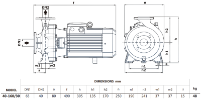 Центробежный насос Purity PSTG-R5 40-160/30