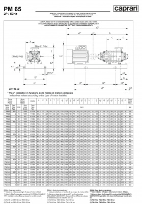 Горизонтальные многоступенчатые насосы высокого давления Caprari PM 65 2900