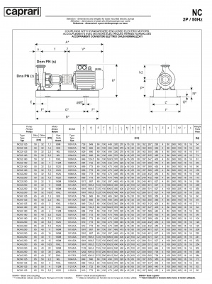 Одноступенчатые горизонтальные центробежные насосы Caprari NC 32-200 2900