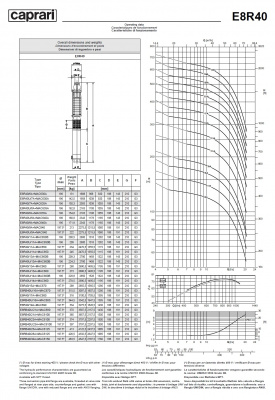 Скважинные насосы Caprari E8R40 из чугуна
