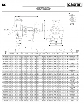 Одноступенчатые горизонтальные центробежные насосы Caprari NCHF 250-500 1450