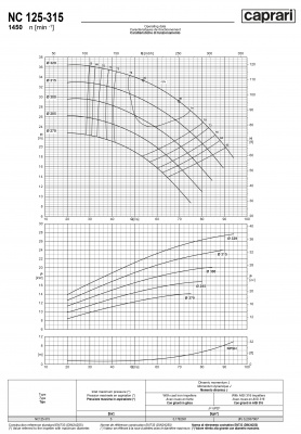 Одноступенчатые горизонтальные центробежные насосы Caprari NC 125-315 1450