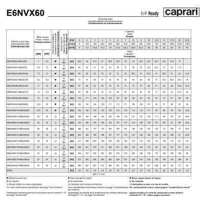 Скважинные насосы Caprari E6NVX60 из нержавеющей стали