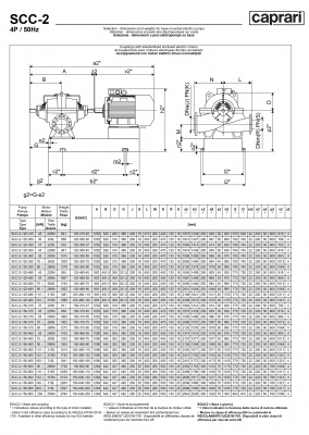 Горизонтальные насосы двустороннего входа Caprari SCC-2-150-600 1450