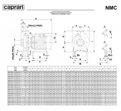 Поверхностные одноступенчатые консольно-моноблочные насосы Caprari NMC 65 2P