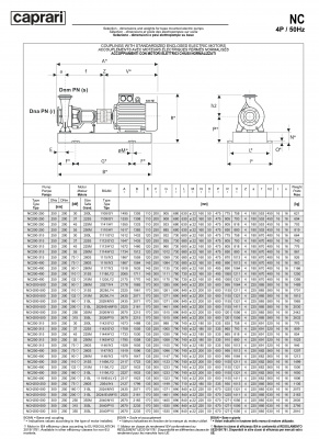 Одноступенчатые горизонтальные центробежные насосы Caprari NCH 250-250 1450