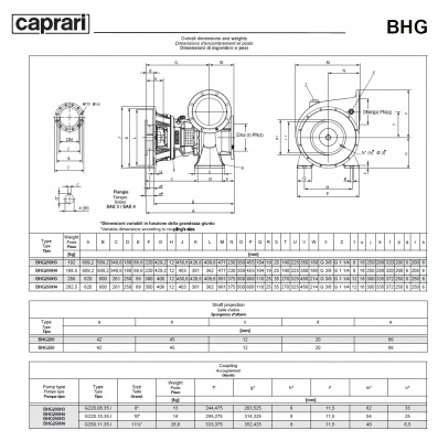 Фланцевый насос Caprari MEC-MG, MEC-AG, BHG 1140 для дизельного двигателя