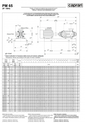 Горизонтальные многоступенчатые насосы высокого давления Caprari PM 65 2200