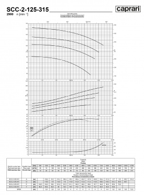 Горизонтальные насосы двустороннего входа Caprari SCC-2-125-315 2900