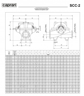 Горизонтальные насосы двустороннего входа Caprari SCC-2-100-315 2900