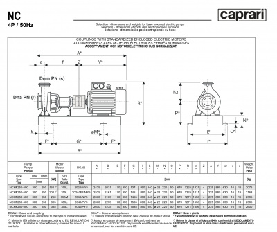 Одноступенчатые горизонтальные центробежные насосы Caprari NCHF 250-500 1450