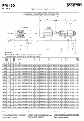 Горизонтальные многоступенчатые насосы высокого давления Caprari PM 100 2900