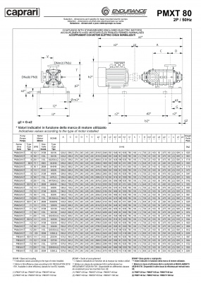 Горизонтальные секционные насосы высокого давления Caprari PMXT 80 2900 из нержавеющей стали