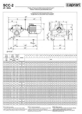 Горизонтальные насосы двустороннего входа Caprari SCC-2-250-600 1450