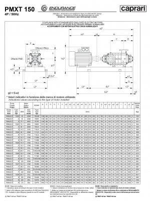 Горизонтальные секционные насосы высокого давления Caprari PMXLT 150 1450 из нержавеющей стали