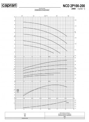 Одноступенчатые горизонтальные центробежные насосы Caprari NCD 2P100-200 2900