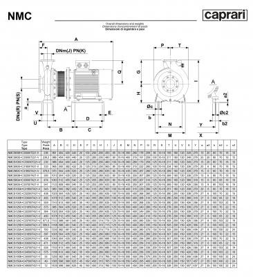 Поверхностные одноступенчатые консольно-моноблочные насосы Caprari NMC 150 4P