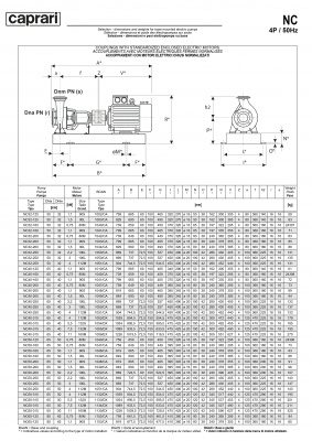 Одноступенчатые горизонтальные центробежные насосы Caprari NC 40-200 1450