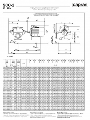 Горизонтальные насосы двустороннего входа Caprari SCC-2-65-250 2900