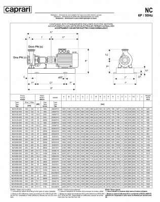 Одноступенчатые горизонтальные центробежные насосы Caprari NCH 250-500 950