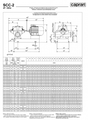 Горизонтальные насосы двустороннего входа Caprari SCC-2-250-450 1450