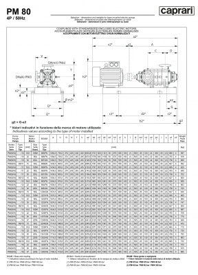 Горизонтальные многоступенчатые насосы высокого давления Caprari PM 80 2200